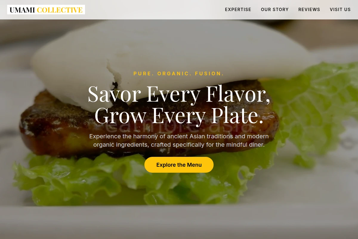 Organic Asian Fusion Food