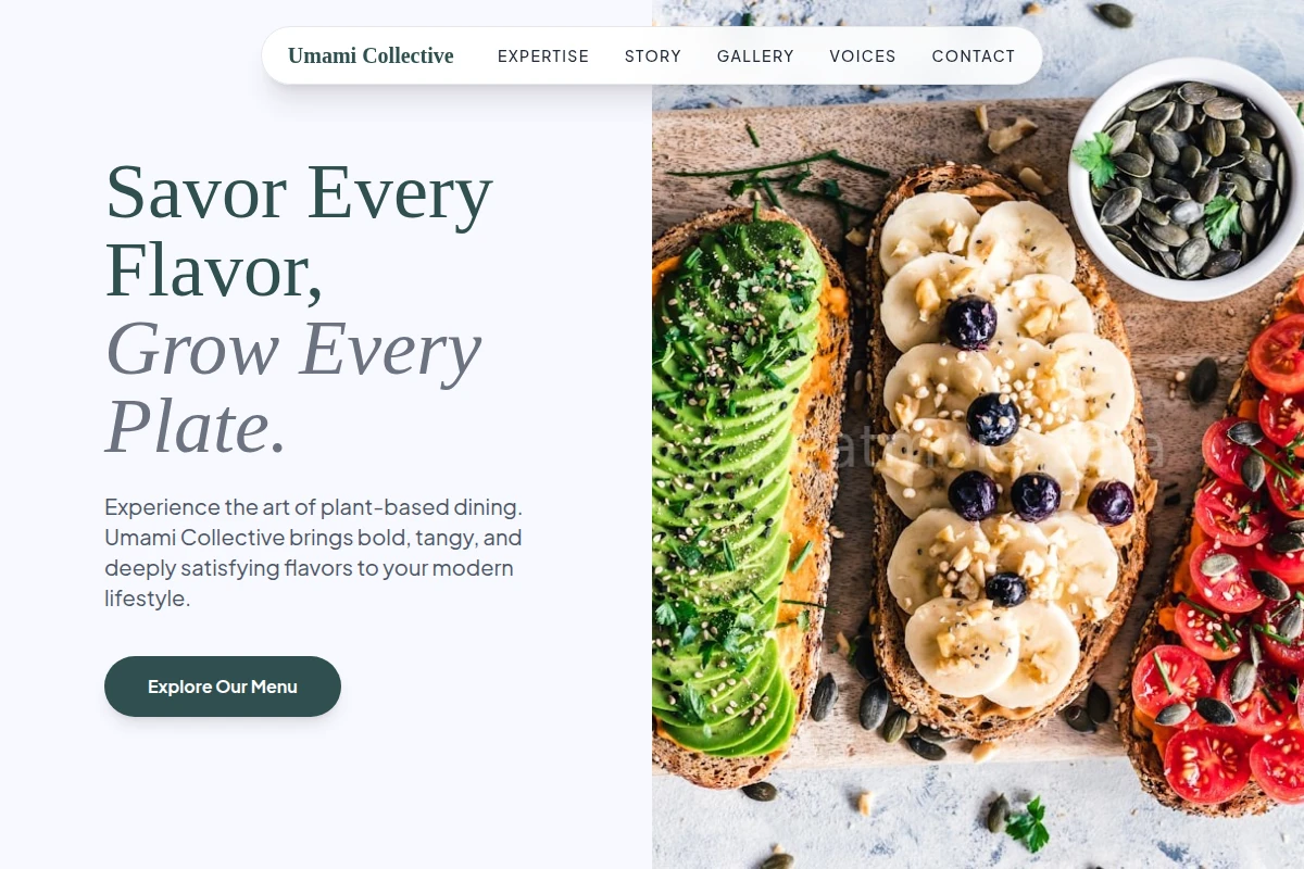 Tangy Vegan Food